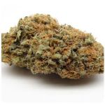 Шишки AK47  (Гидропоника, Бошка) VHQ в Белогорске